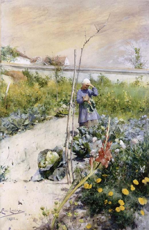 Carl Larsson IN Kokstradgarden china oil painting image